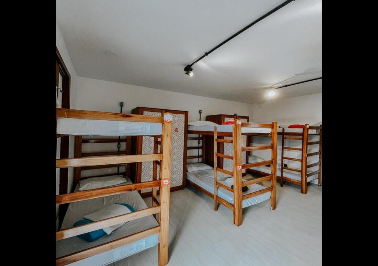 Pup Sc Albergue
