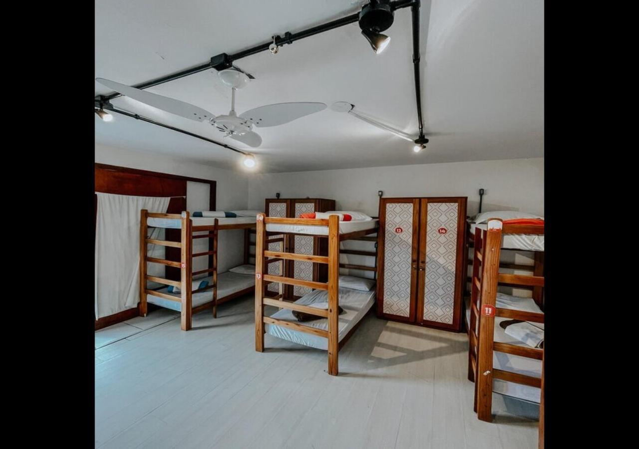 Pup Sc Albergue