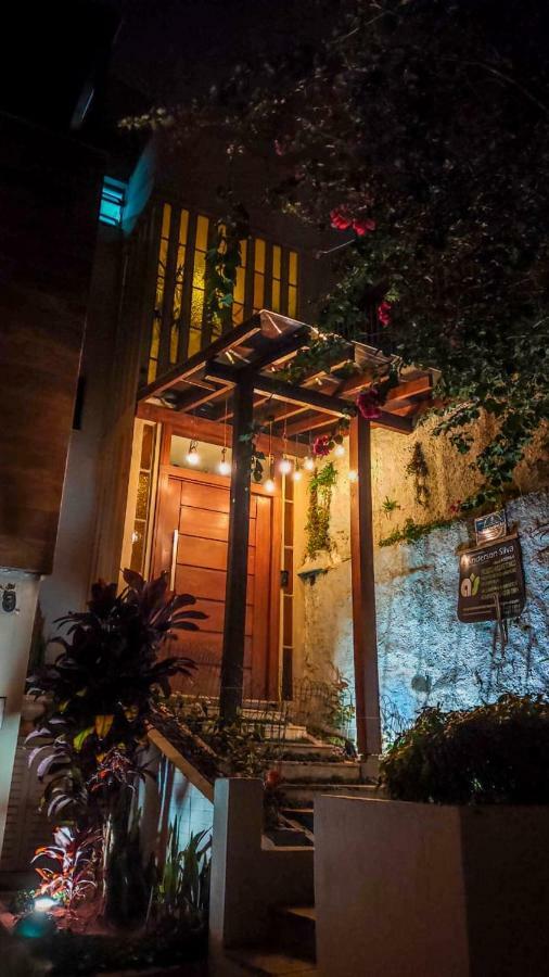 Pup Sc Albergue Florianopolis